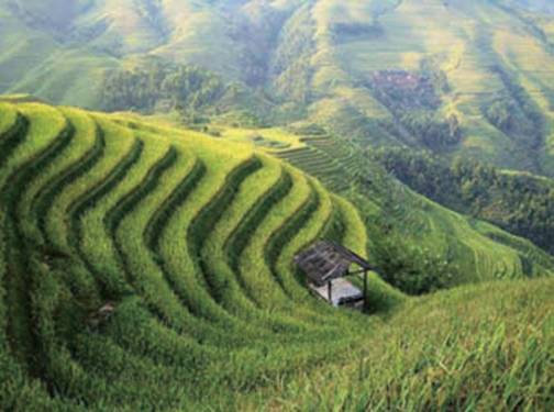 農田排灌、水利領域